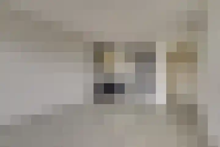 Vijf Meilaan 142 Leiden thumbnail 10