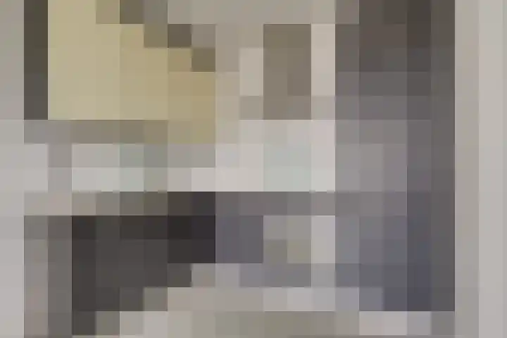Vijf Meilaan 142 Leiden thumbnail 11
