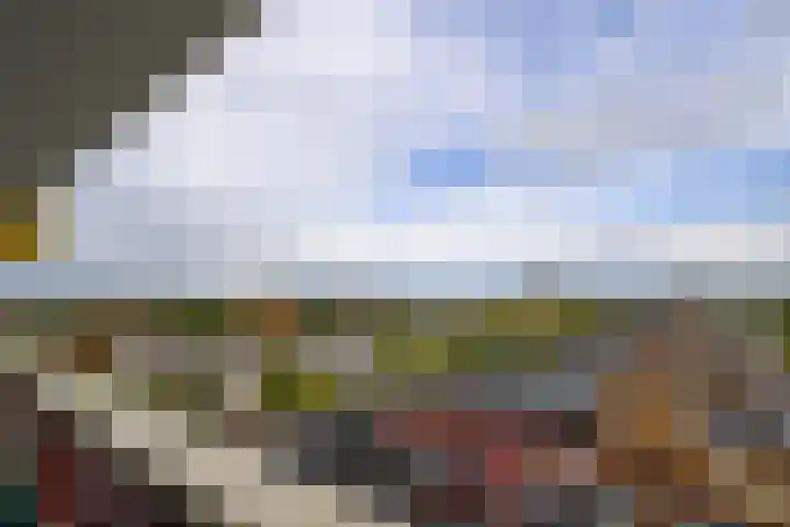 Vijf Meilaan 142 Leiden thumbnail 16