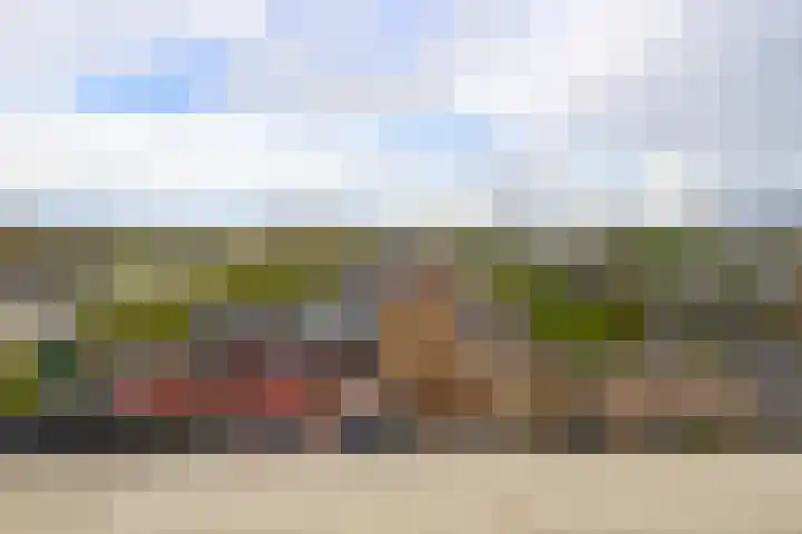 Vijf Meilaan 142 Leiden thumbnail 17
