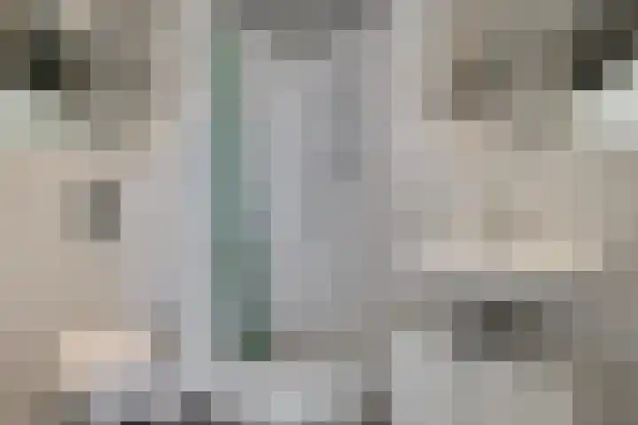 Vijf Meilaan 142 Leiden thumbnail 20