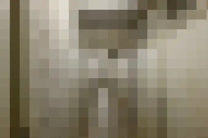 Vijf Meilaan 142 Leiden thumbnail 24