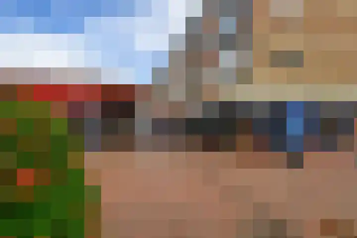 Vijf Meilaan 142 Leiden thumbnail 26