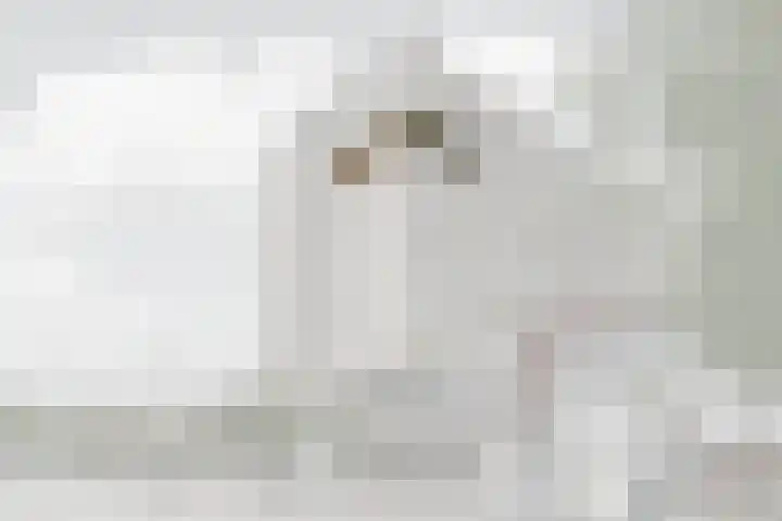 Vijf Meilaan 142 Leiden thumbnail 30