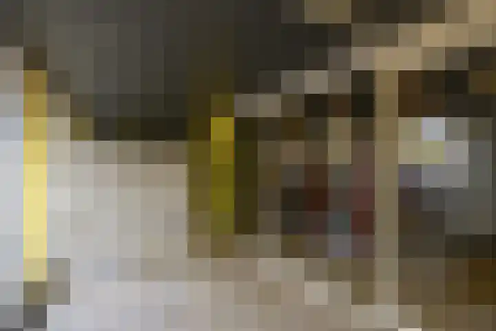 Vijf Meilaan 142 Leiden thumbnail 4