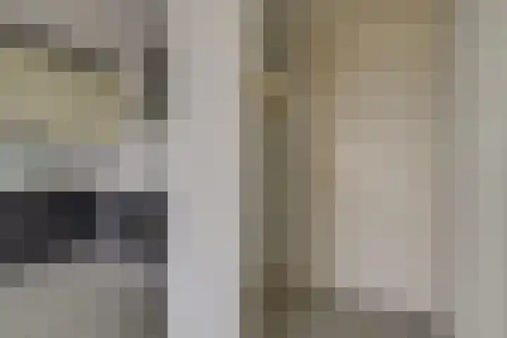 Vijf Meilaan 142 Leiden thumbnail 8