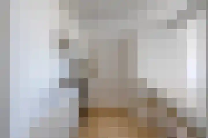 Vijf Meilaan 158 Leiden thumbnail 11