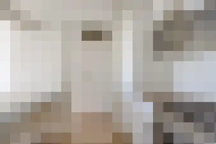 Vijf Meilaan 158 Leiden thumbnail 13