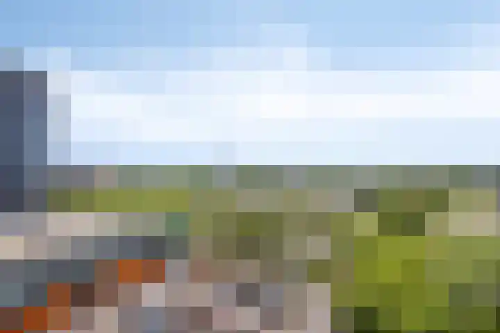 Vijf Meilaan 158 Leiden thumbnail 19