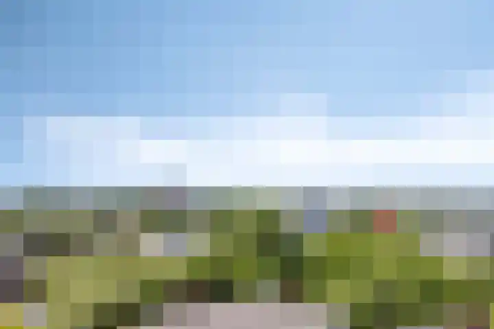 Vijf Meilaan 158 Leiden thumbnail 20