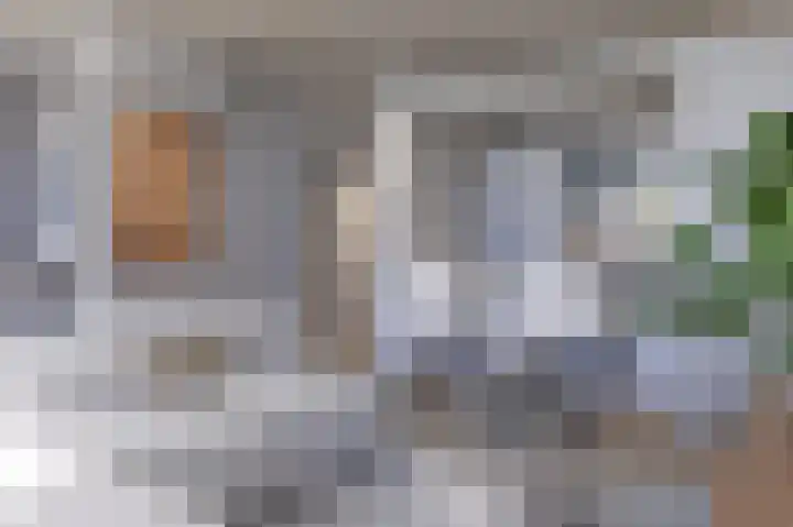 Vijf Meilaan 158 Leiden thumbnail 21
