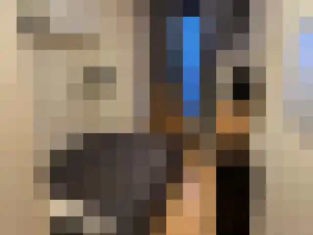 Vijf Meilaan 176 Leiden thumbnail 15