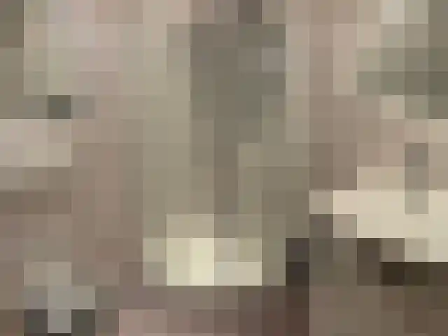 Vijf Meilaan 176 Leiden thumbnail 16