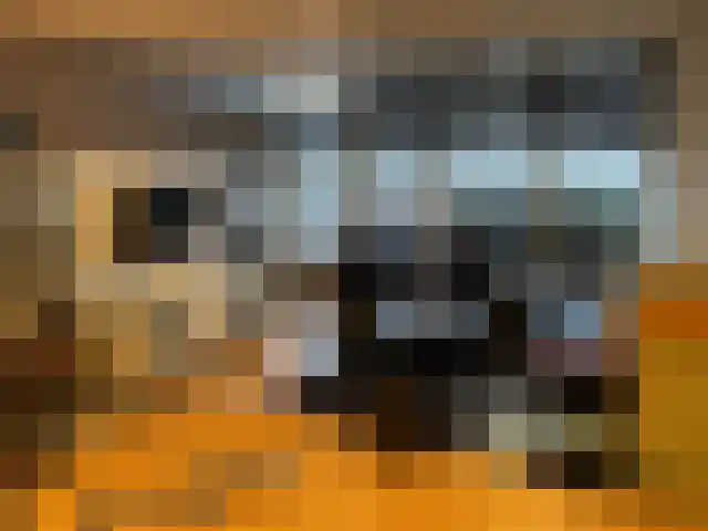 Vijf Meilaan 176 Leiden thumbnail 8