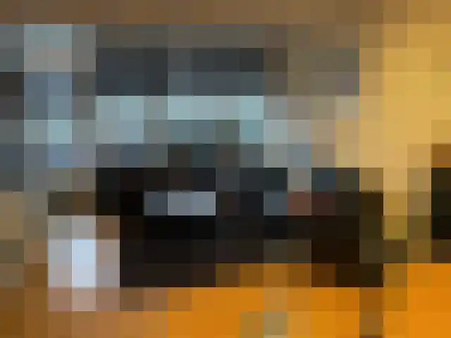 Vijf Meilaan 176 Leiden thumbnail 9