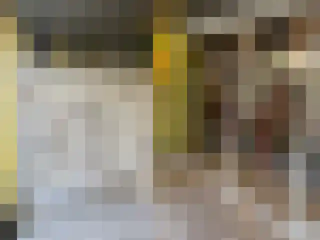 Vijf Meilaan 178 Leiden thumbnail 18
