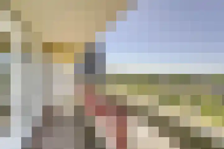 Vijf Meilaan 182 Leiden thumbnail 12