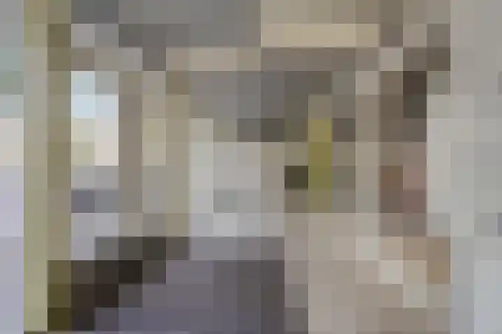 Vijf Meilaan 182 Leiden thumbnail 19