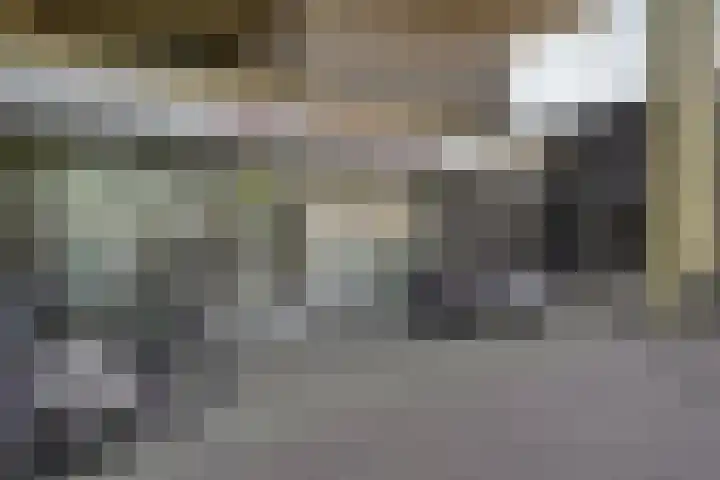 Vijf Meilaan 182 Leiden thumbnail 20