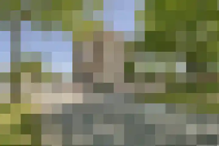 Vijf Meilaan 182 Leiden thumbnail 21