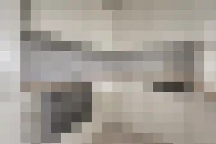 Vijf Meilaan 182 Leiden thumbnail 8