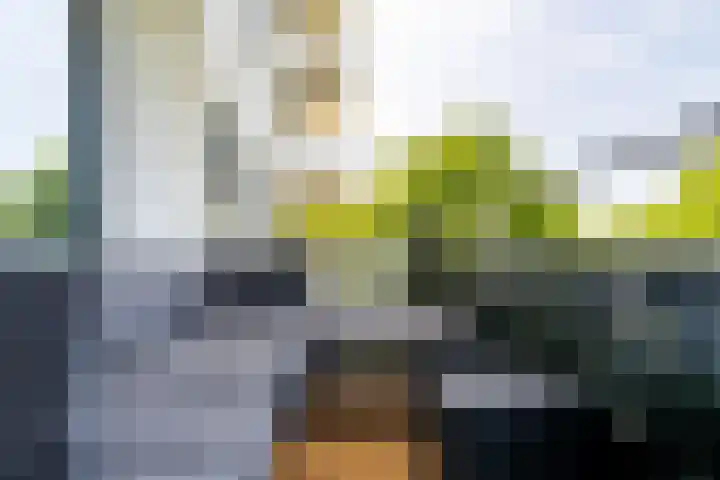 Vijf Meilaan 246 Leiden thumbnail 10