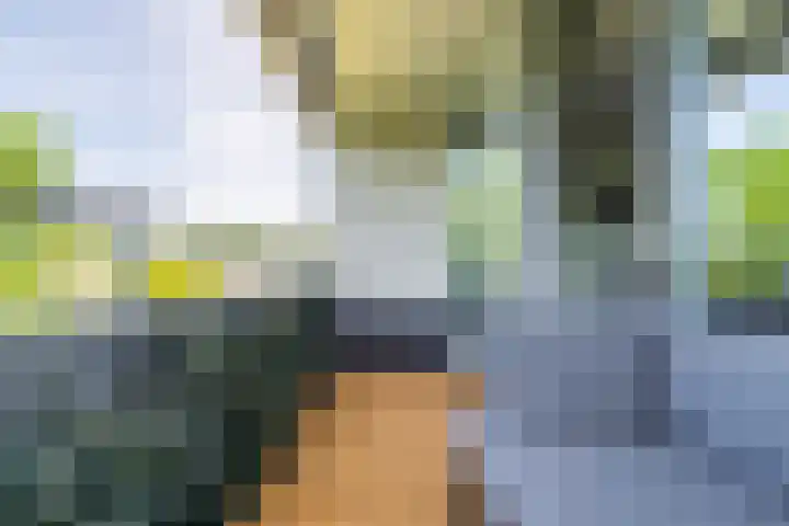 Vijf Meilaan 246 Leiden thumbnail 12