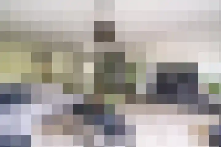 Vijf Meilaan 246 Leiden thumbnail 15