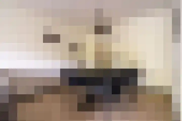 Vijf Meilaan 246 Leiden thumbnail 16