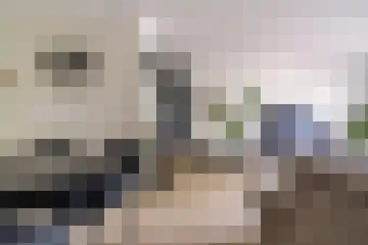 Vijf Meilaan 246 Leiden thumbnail 18