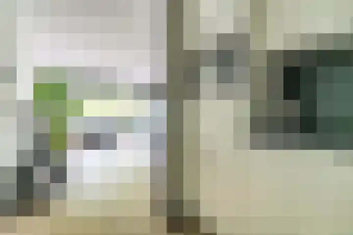 Vijf Meilaan 246 Leiden thumbnail 21