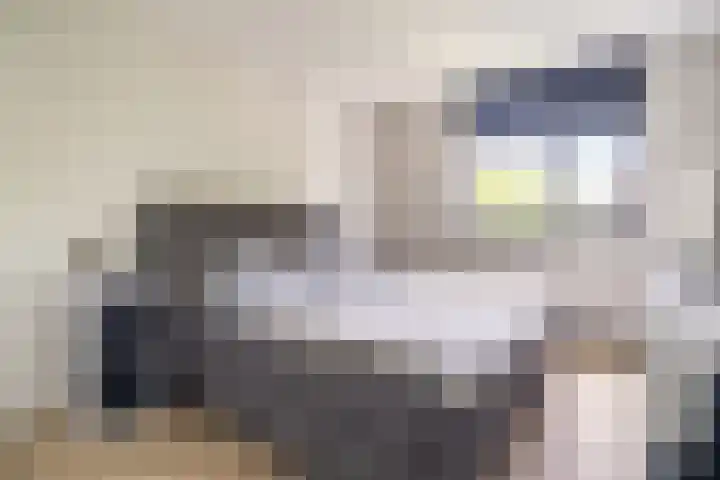 Vijf Meilaan 246 Leiden thumbnail 29