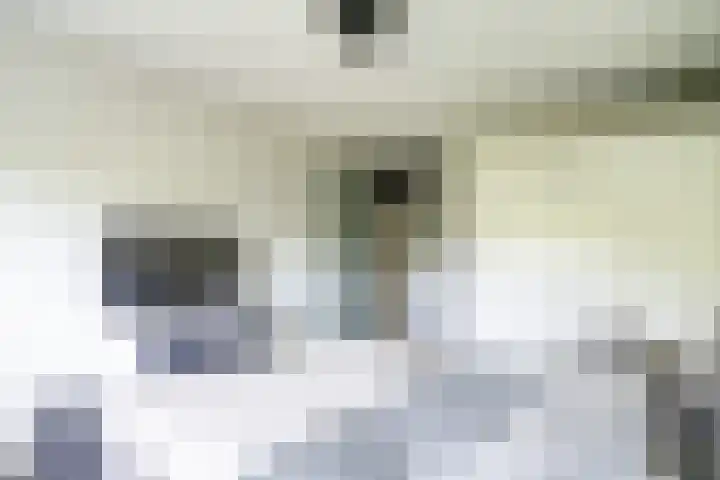 Vijf Meilaan 246 Leiden thumbnail 30