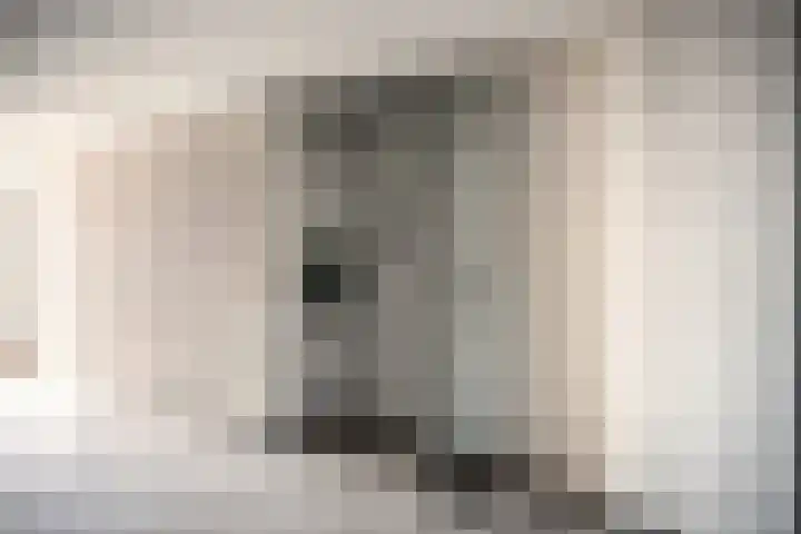 Vijf Meilaan 246 Leiden thumbnail 33