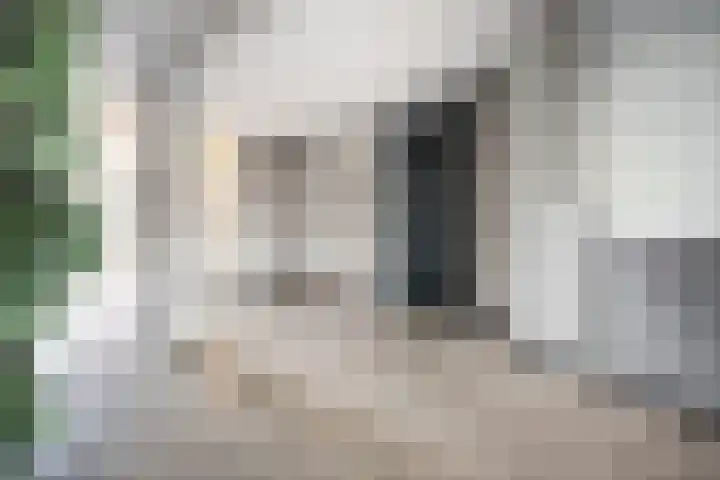 Vijf Meilaan 246 Leiden thumbnail 34