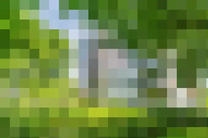 Vijf Meilaan 246 Leiden thumbnail 37
