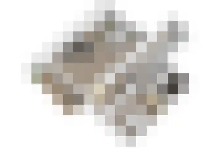 Vijf Meilaan 246 Leiden thumbnail 39