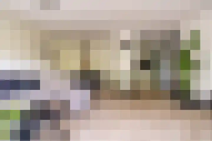 Vijf Meilaan 246 Leiden thumbnail 4