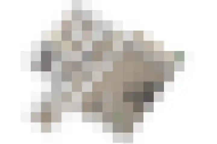 Vijf Meilaan 246 Leiden thumbnail 40