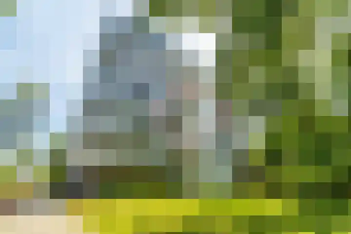 Vijf Meilaan 246 Leiden thumbnail 43
