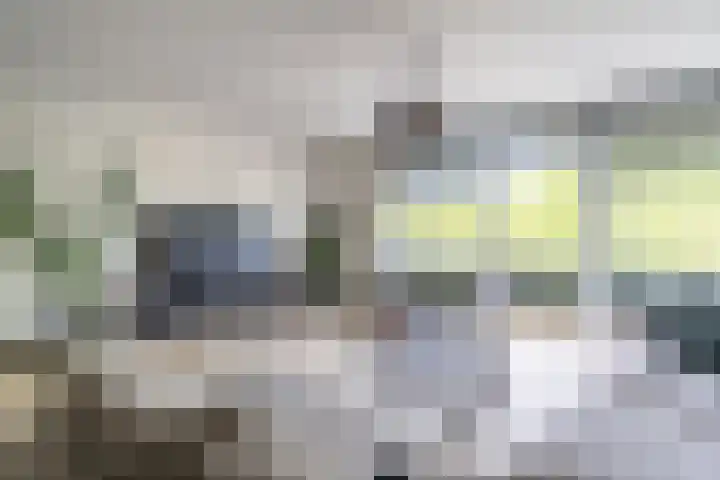 Vijf Meilaan 246 Leiden thumbnail 6
