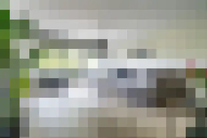 Vijf Meilaan 246 Leiden thumbnail 7