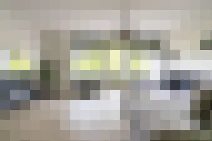 Vijf Meilaan 246 Leiden thumbnail 8