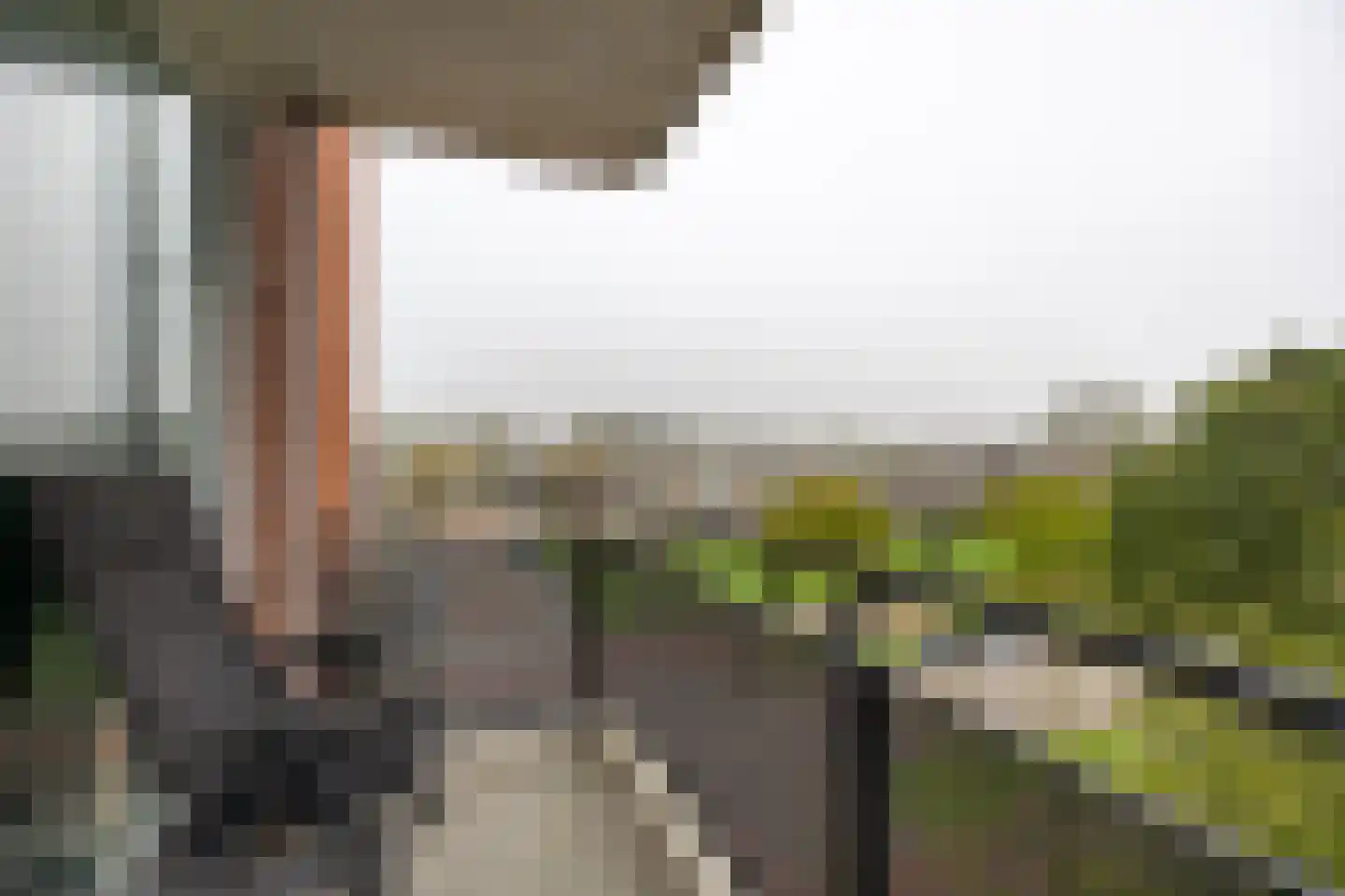 Vijf Meilaan 250 Leiden thumbnail 17