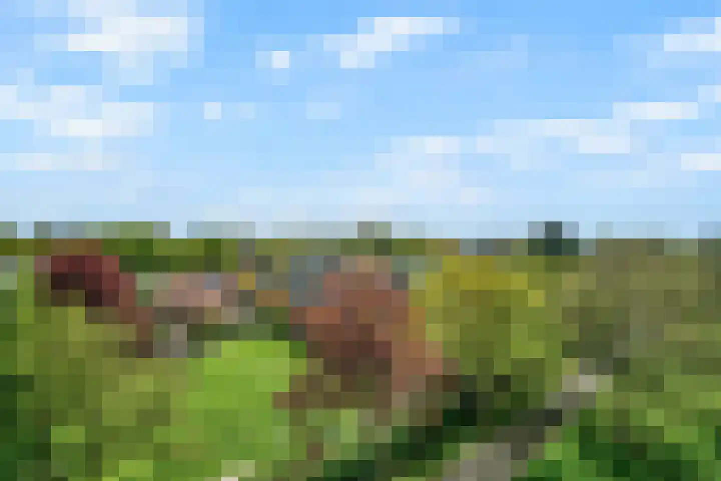 Vijf Meilaan 262 Leiden thumbnail 11