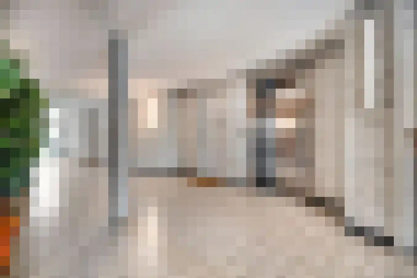 Vijf Meilaan 262 Leiden thumbnail 34