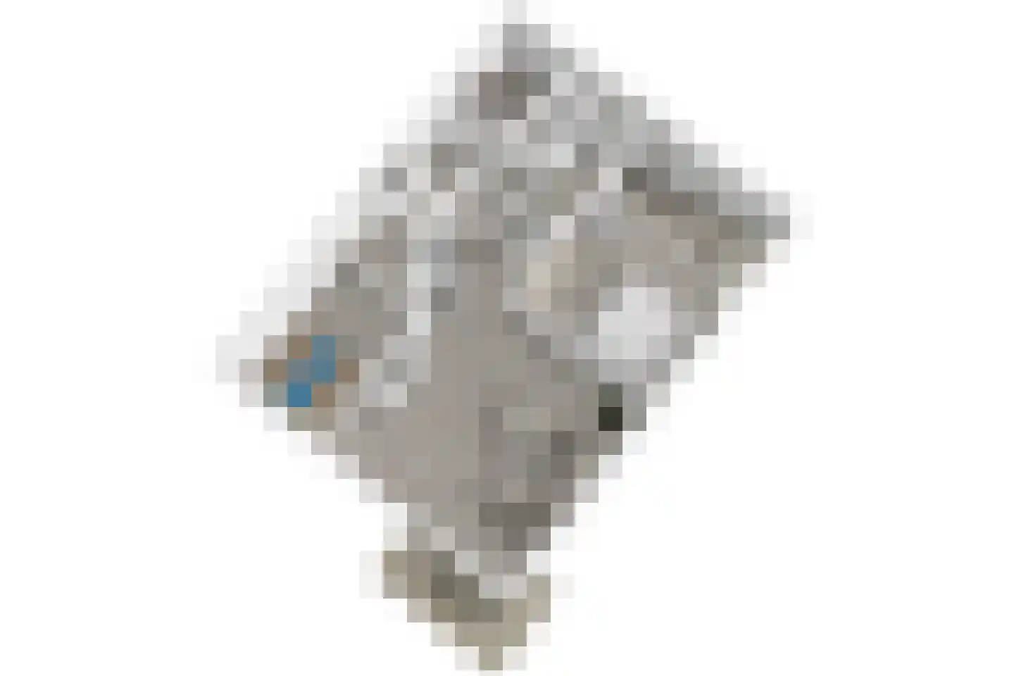 Vijf Meilaan 262 Leiden thumbnail 42