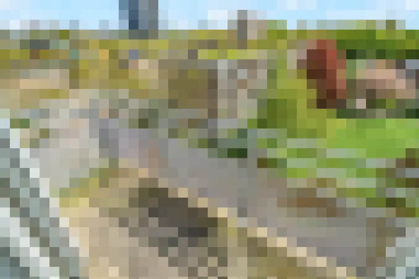 Vijf Meilaan 262 Leiden thumbnail 8