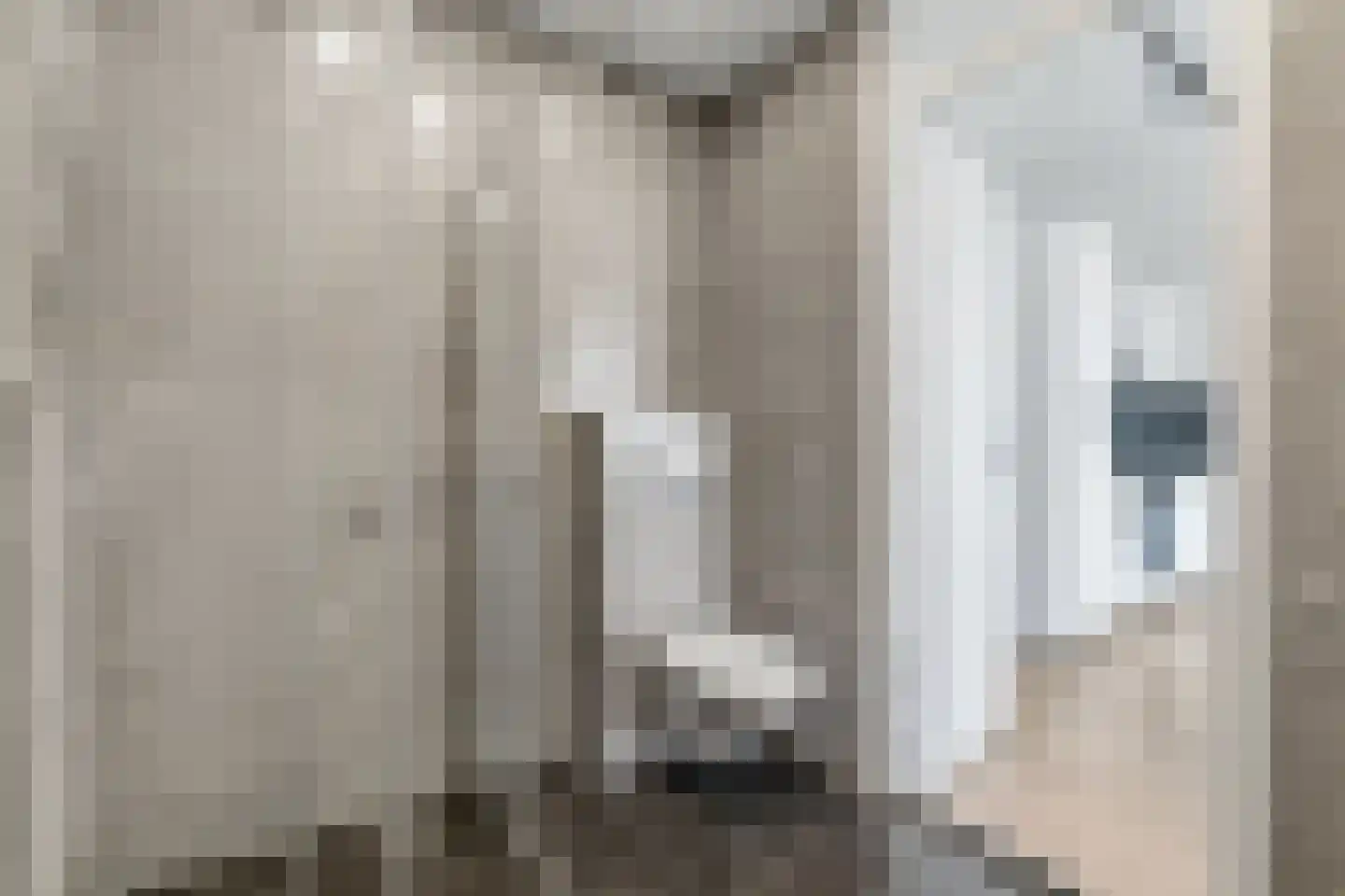 Vijf Meilaan 52 Leiden thumbnail 15