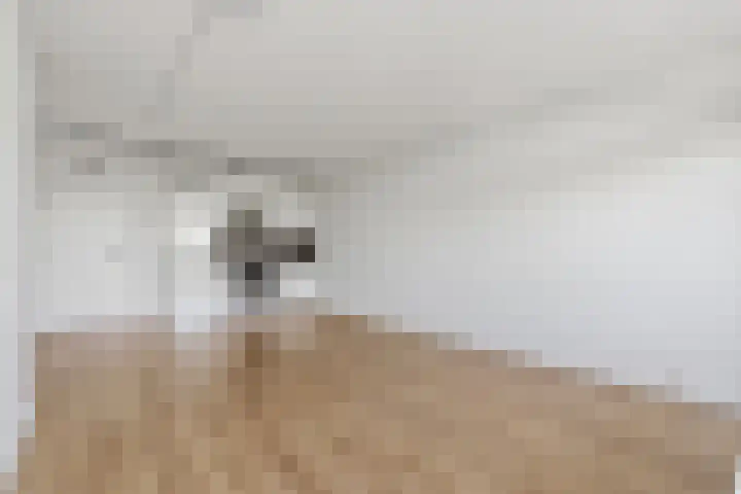 Vijf Meilaan 52 Leiden thumbnail 8